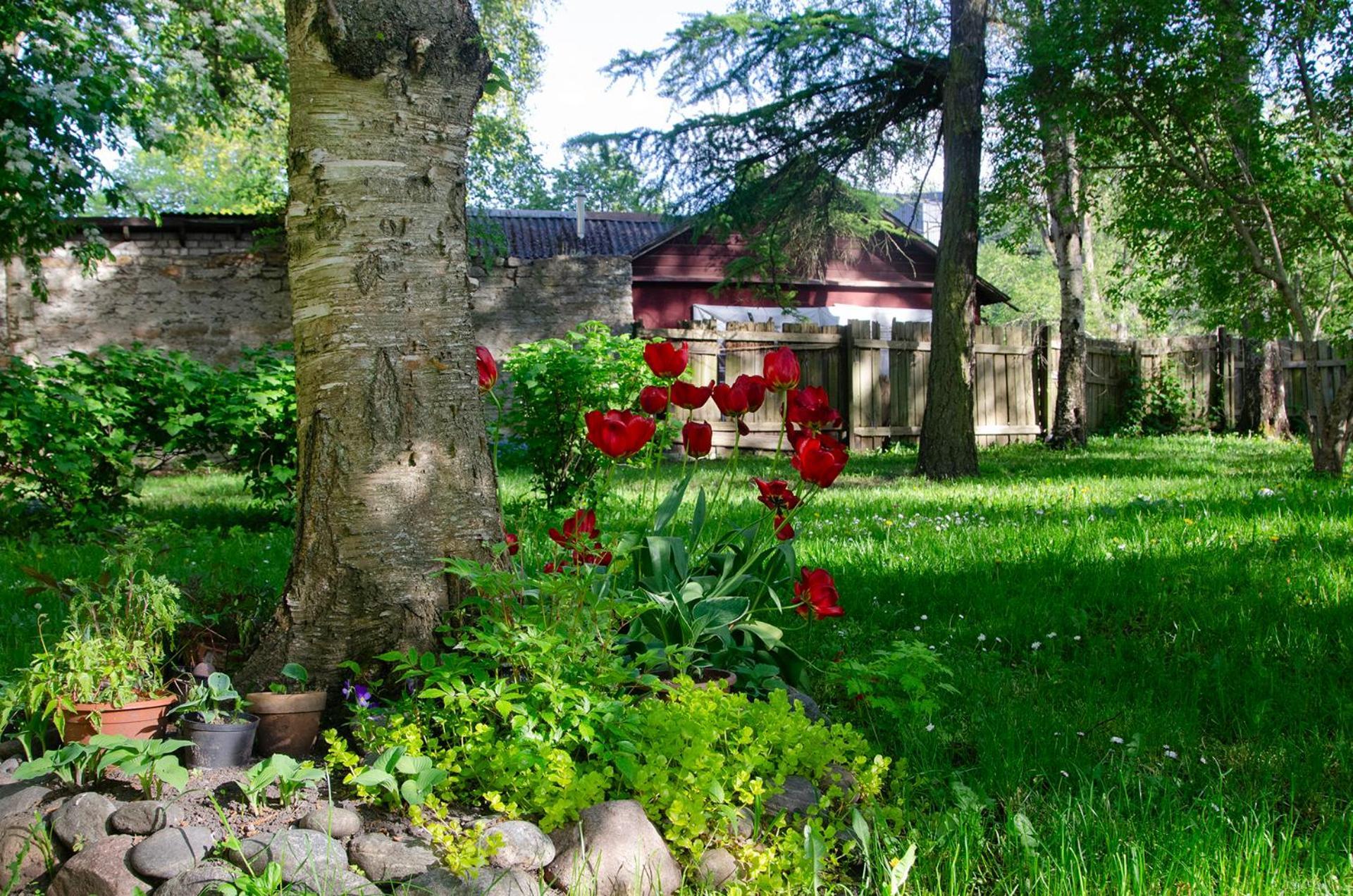 Large 3-room In A Historic House * Tallinn